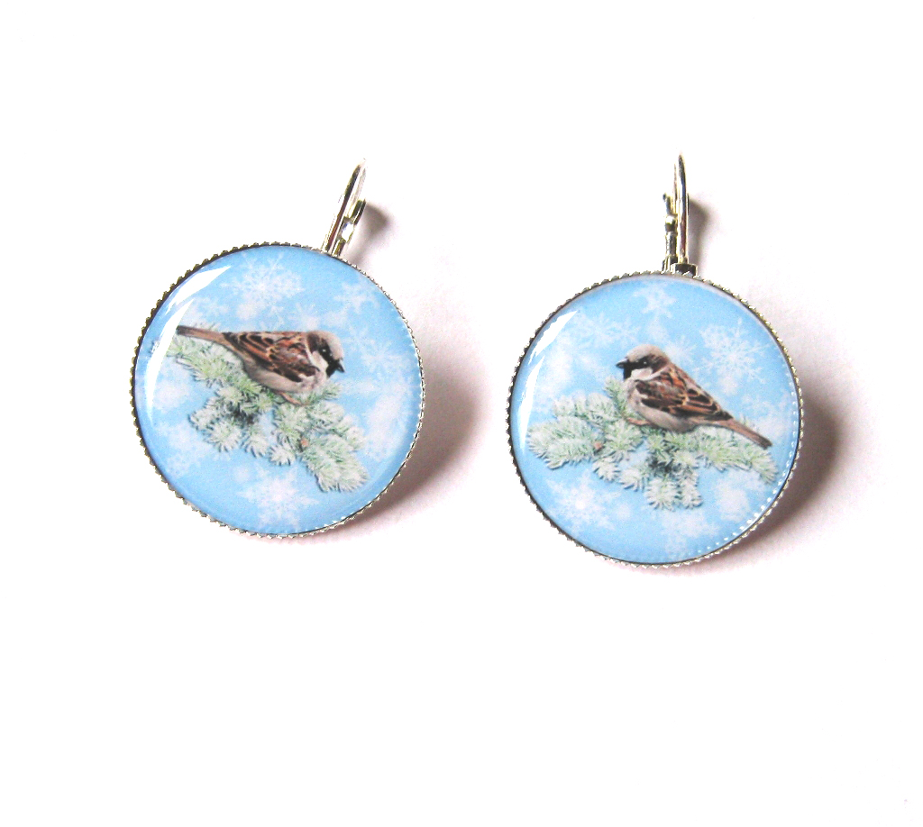 Zimní mrazivé ráno 