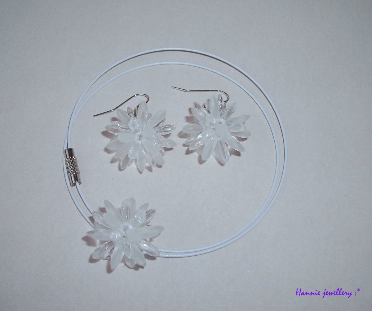 Sada ježovky Ledovka