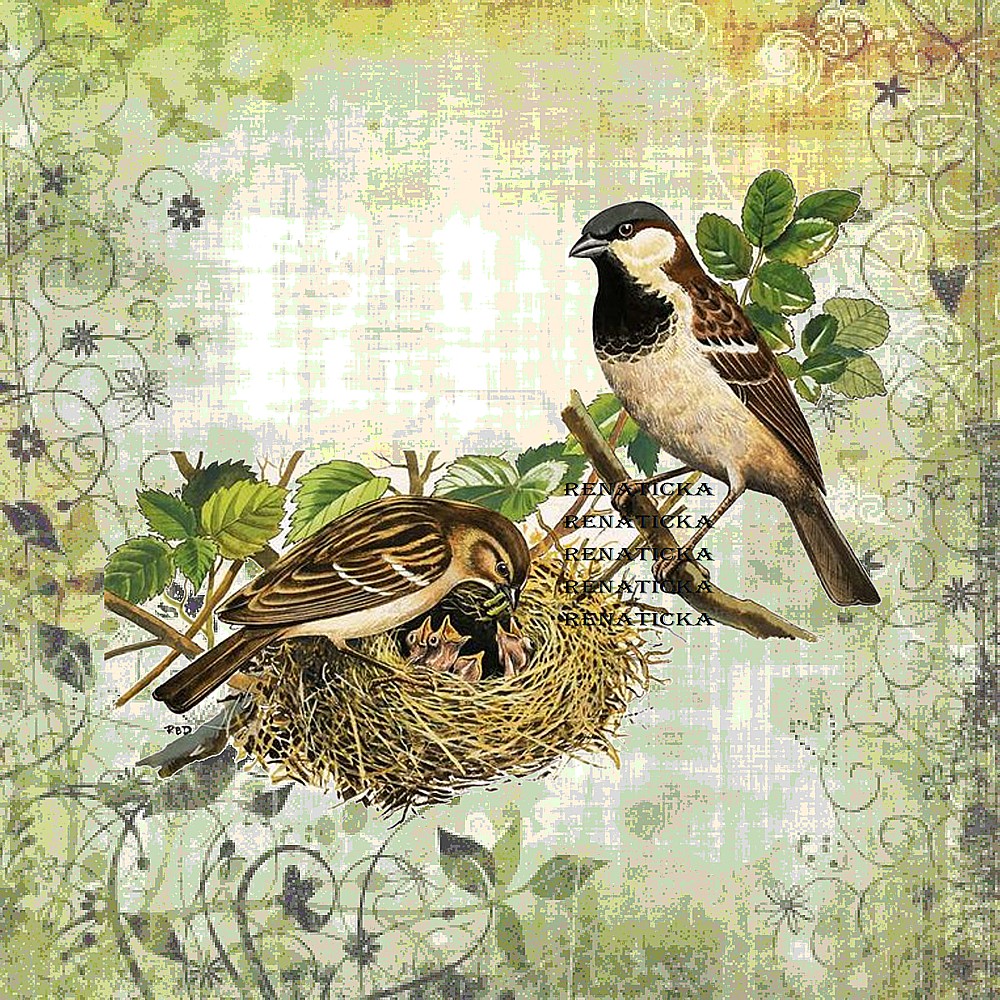 Nažehlovací obrázek V274