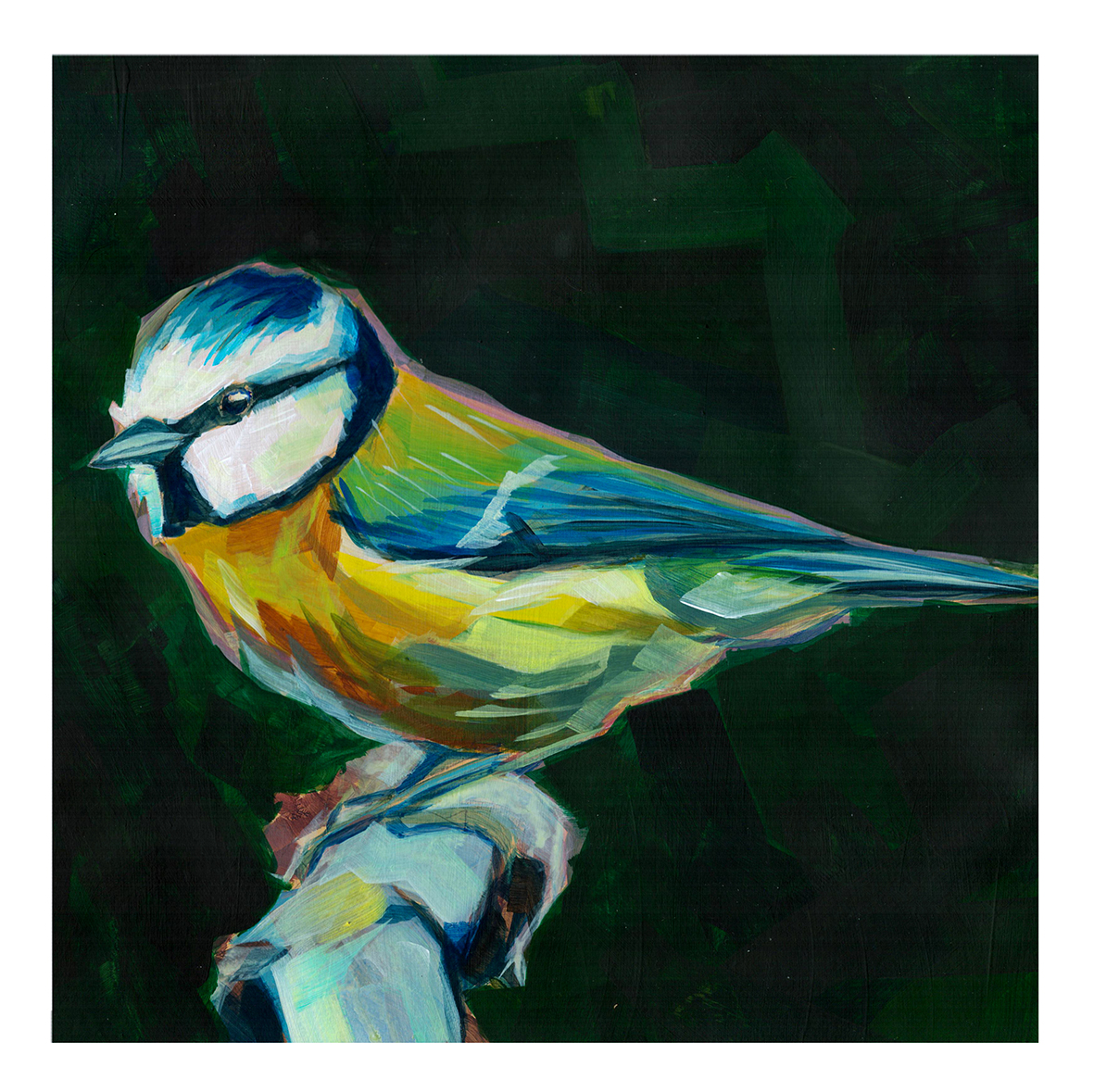 Originální akrylová malba, Sýkorka, 30 × 30 cm