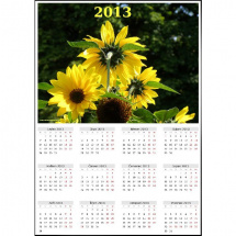 Roční kalendář 2013 - Slunečnice - A3