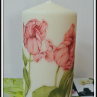 Nádherná rozkvetlá svíčka s tulipány