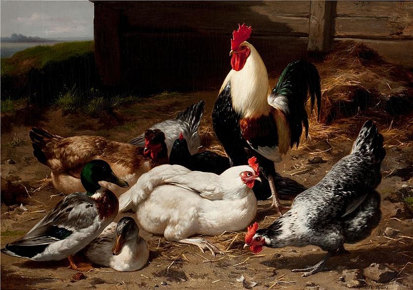 Bavlněný panel R292