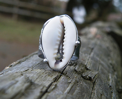 Z pobřeží...(mušle)