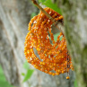 Náhrdelník - orange