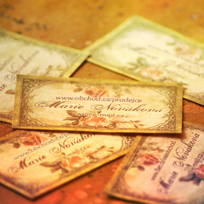 Vaše vizitky - 100 kusů - motiv č.2