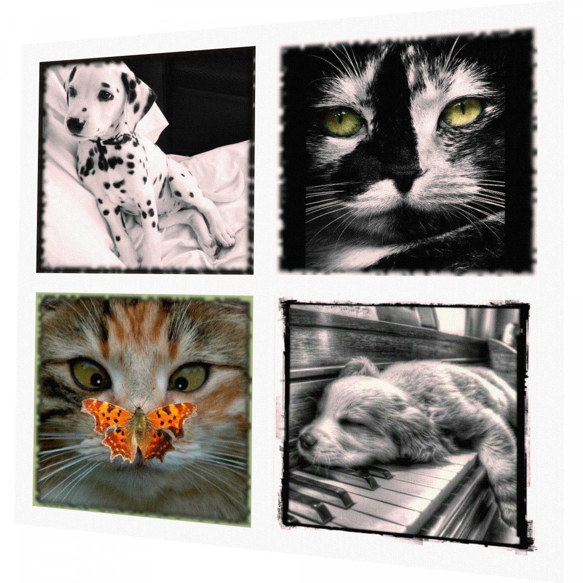 BAVLNĚNÝ PANEL - SADA 23 x 25 cm 2SGR15