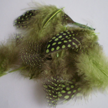 Peříčka - kropenatá sv. zelená 10 ks