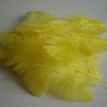 Peříčka - jasně žlutá 10 ks