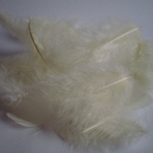 Peříčka - bílá 10 ks