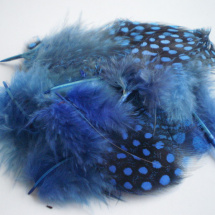 Peříčka - kropenatá modrá 10 ks