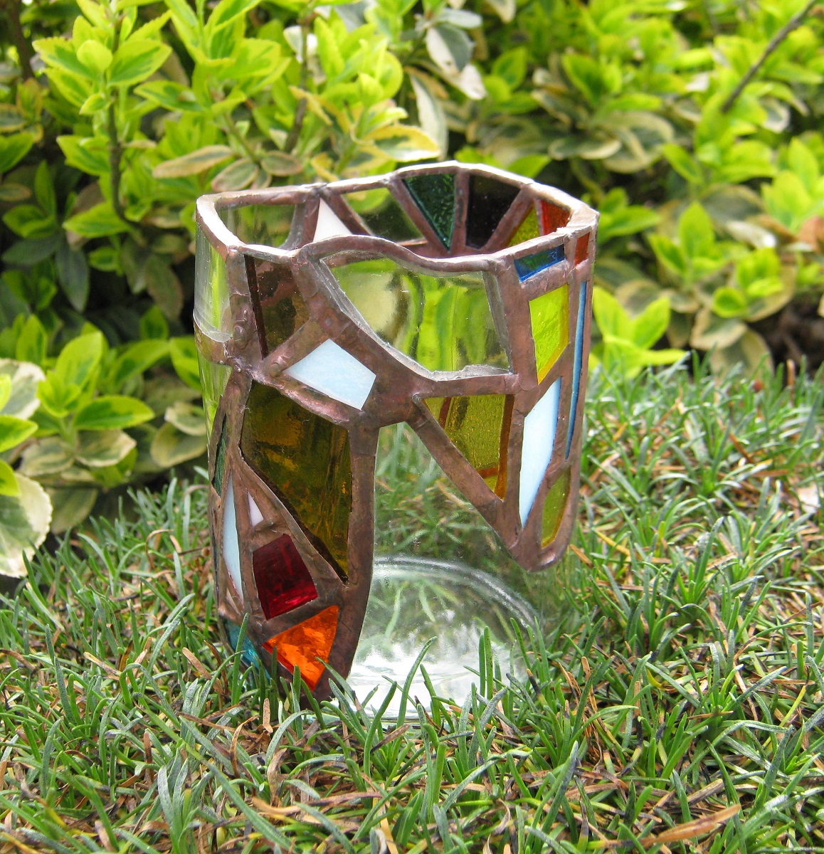 skleněný tužkovník - zonkáček