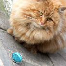 Dorotka - Chryzokol...