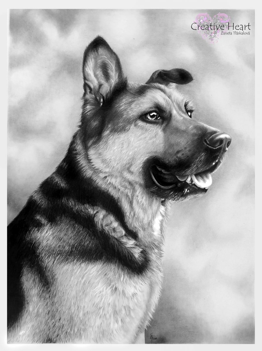 PORTRÉTY zvířat a lidí se zvířaty