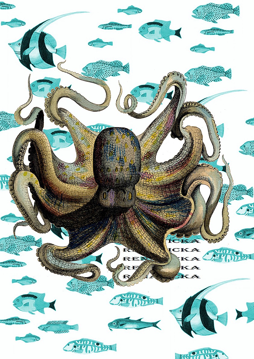 Nažehlovací obrázek V346