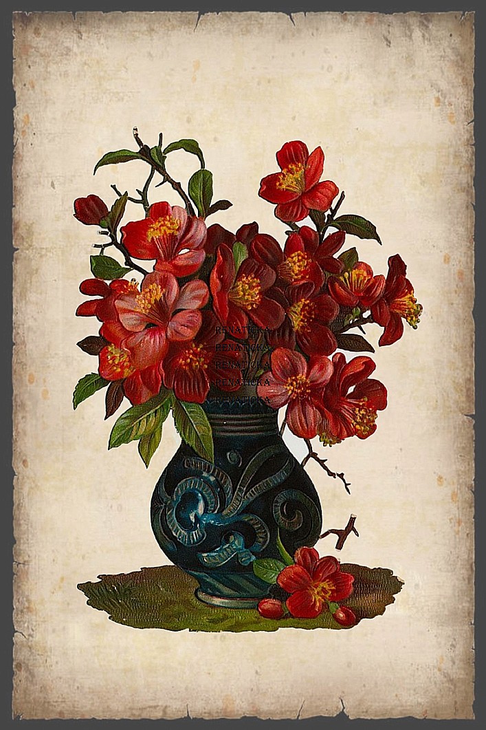 Nažehlovací obrázek V352