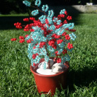 Korálkový stromeček