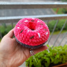 Donut