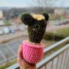 Kaktus