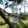 Náušnice - lištičky (Swarovski)