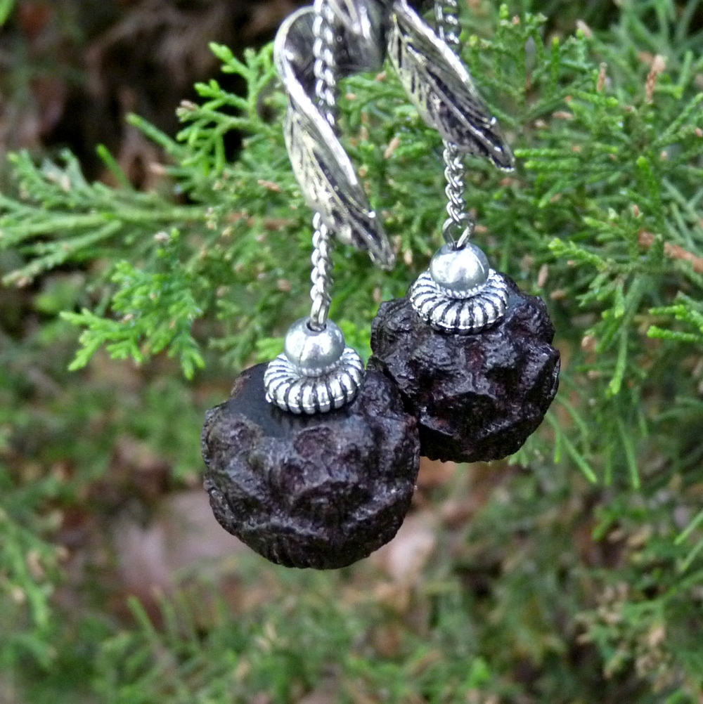 Náušnice - procházka borovým lesem (eben)