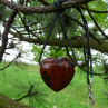 Náhrdelník - mám velké srdce (obsidián mahagonový)