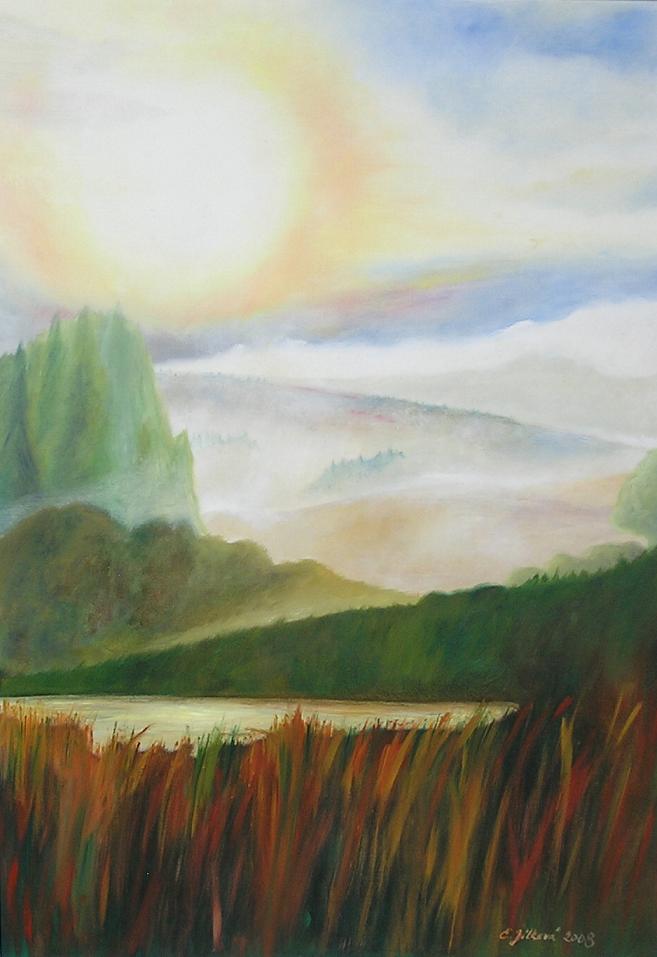 Zasněná krajina po dešti