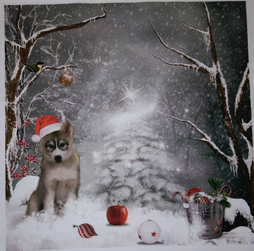 BAVLNĚNÝ PANEL - VELKÝ 35 X 35 cm 3lp24a