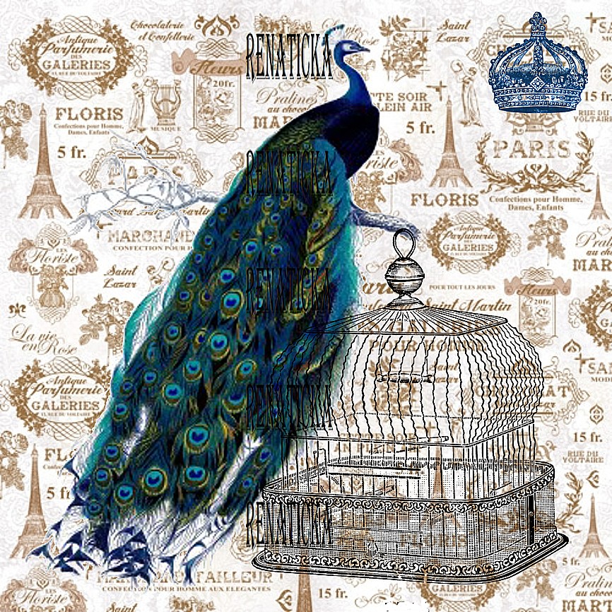 Nažehlovací obrázek V404