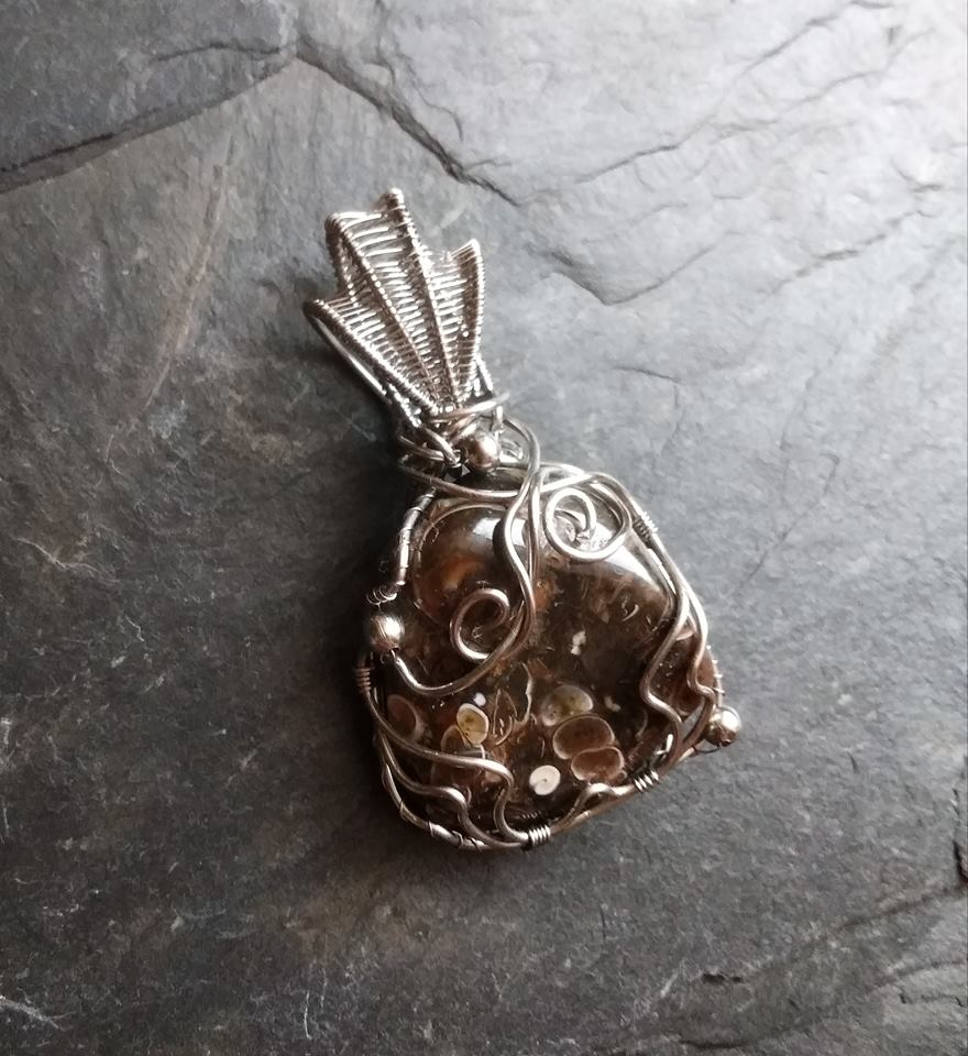 Fosílie Turritella.