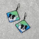 Barevné náušnice s borderkou