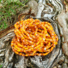 Náhrdelník - orange