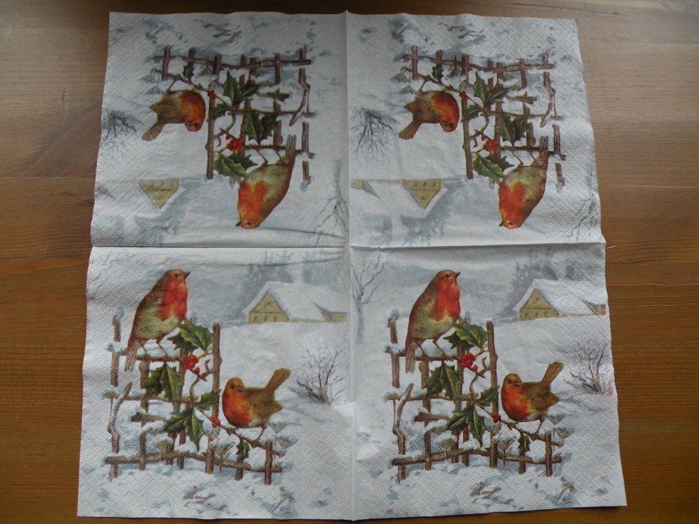 Ubrousek vzor zimní ptáčci