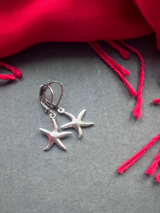 Hvězdicové náušnice - S.Steel