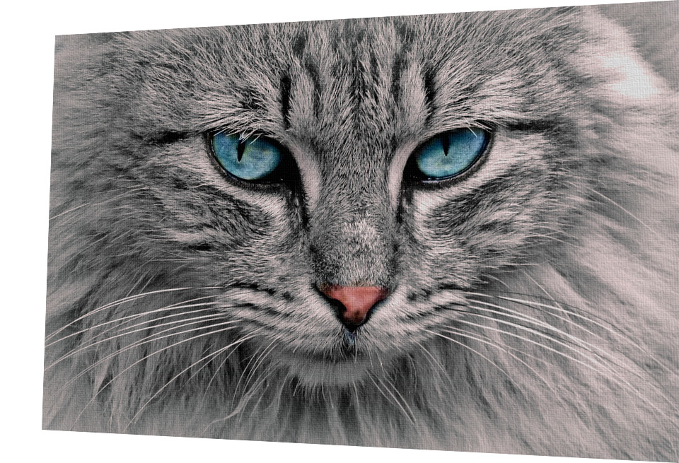 BAVLNĚNÝ PANEL -   12,5 X 17 cm K11