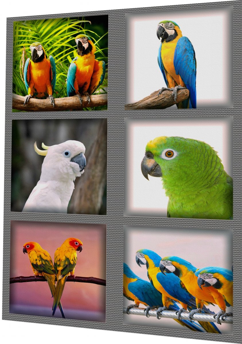 BAVLNĚNÝ PANEL - SADA 31 x 40 cm 4VNS66