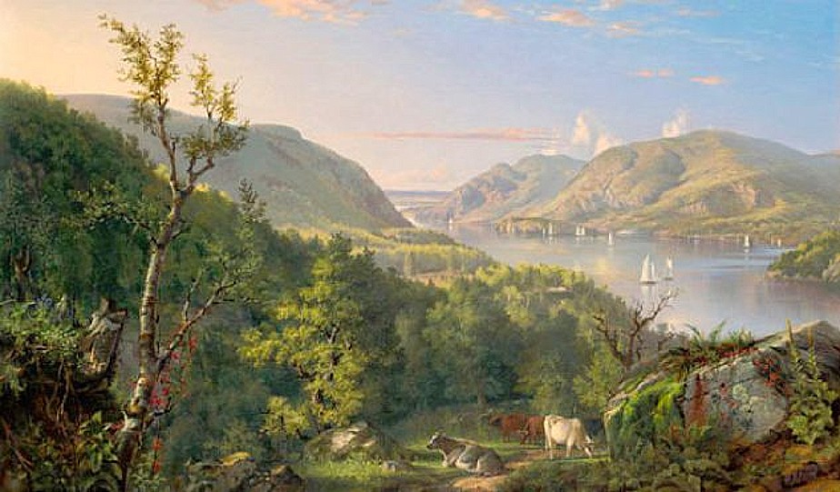 Bavlněný panel R50