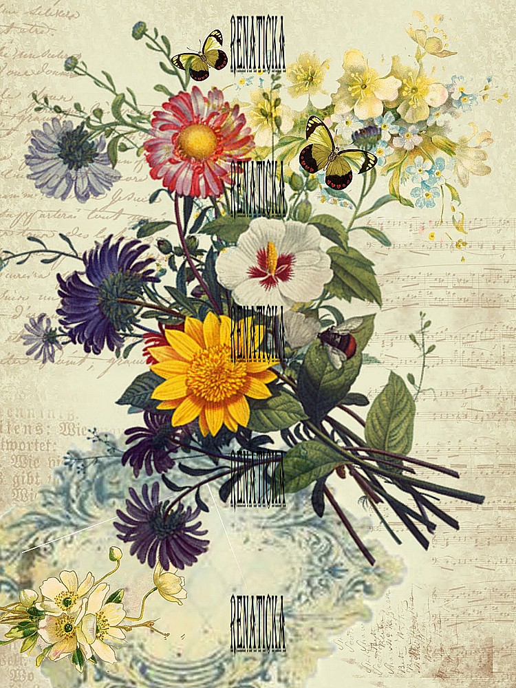 Nažehlovací obrázek V514