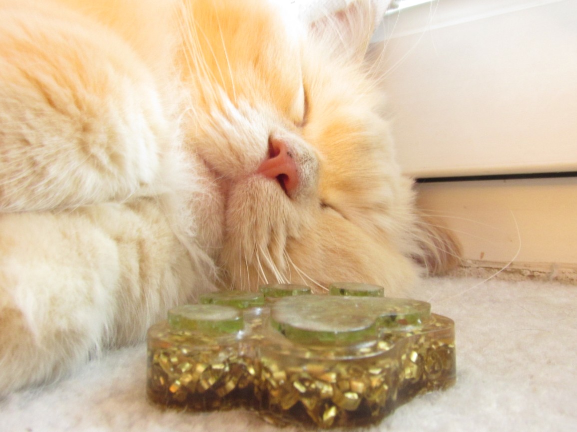 Orgonit Tlapička pro zvířecí kamarády - 2+1 zdarma