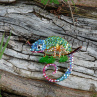 Brož - chameleon