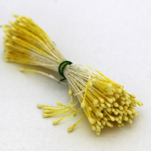 Květinové pestíky oboustranné 3mm (25ks)