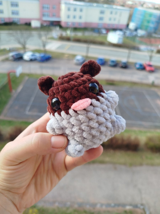 Mini křeček