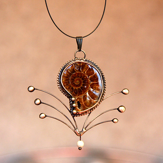 Sada Závan Historie - Amonit...