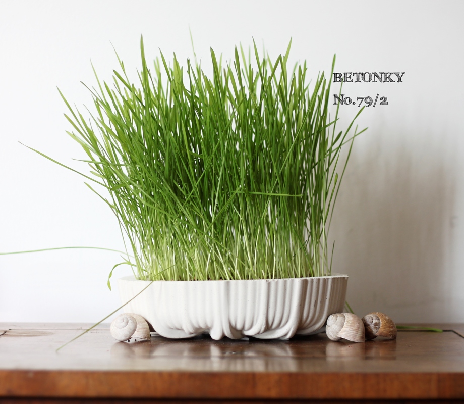 No.79/2 Jarní oseníčko