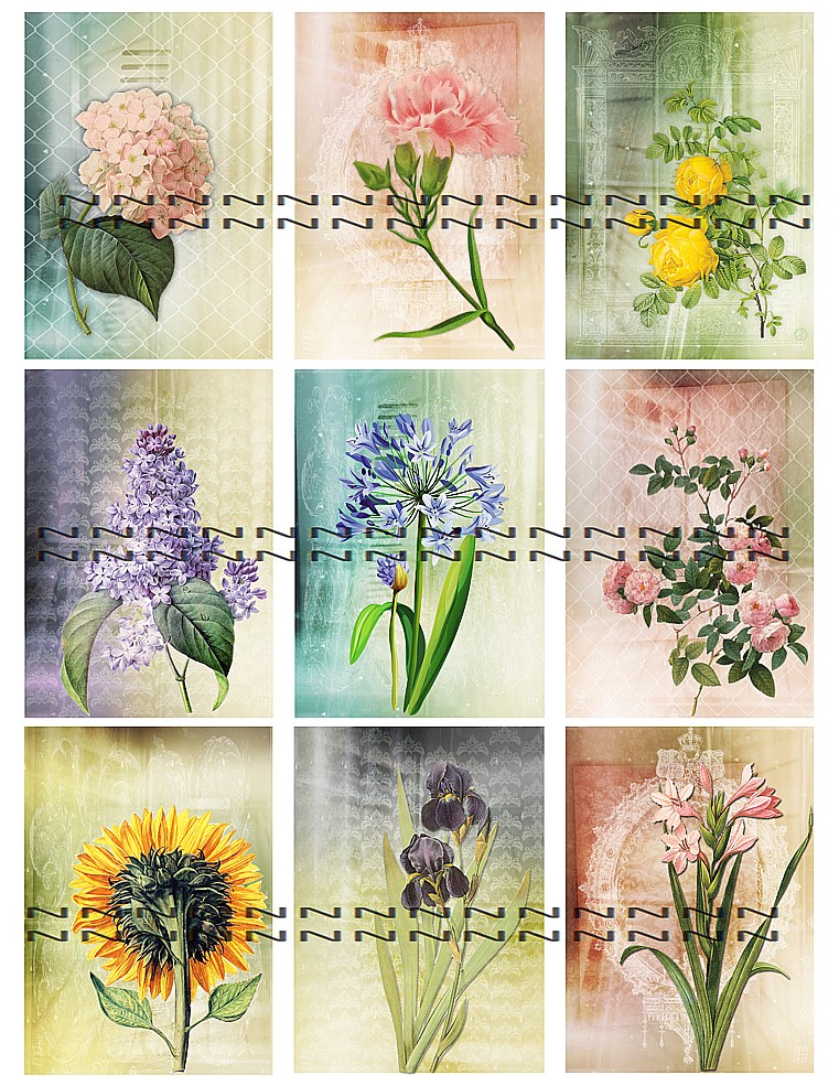 Sada nažehlovacích obrázků A81