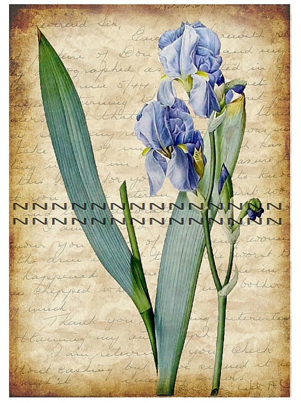 Nažehlovací obrázek A83c