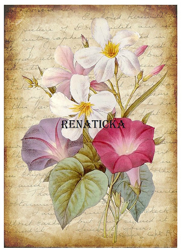 Nažehlovací obrázek A83d