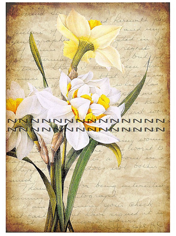 Nažehlovací obrázek A83i