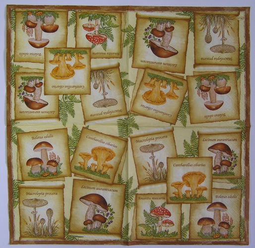 Ubrousek pro tvoření - 33 x 33 cm - B23