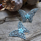 Motýlí inspirace (960)